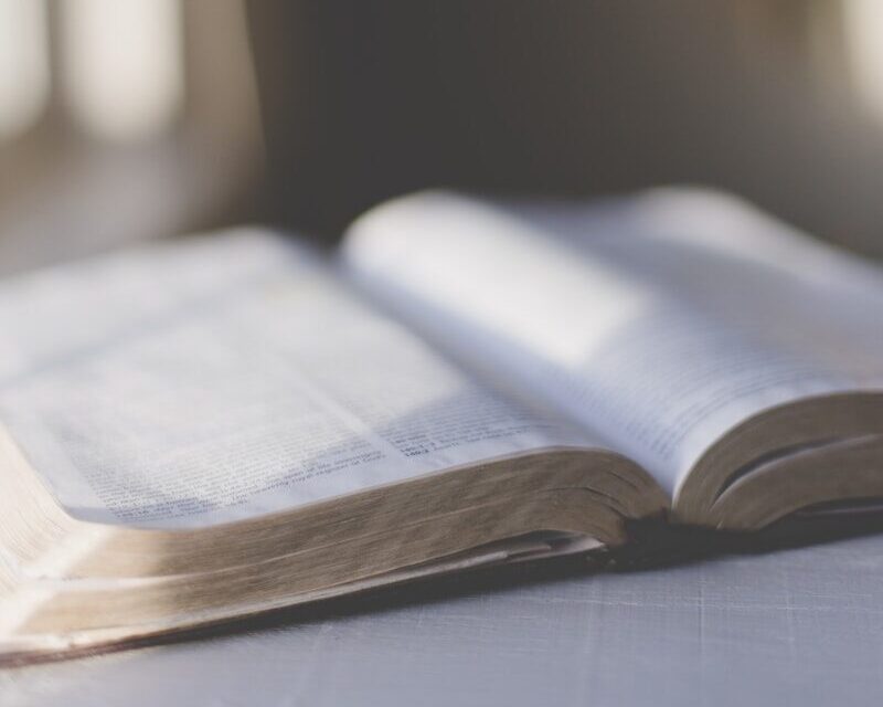 white book